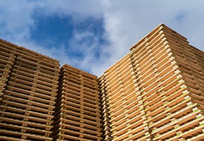 PRS Pooling, palet paylaşım ağını genişletiyor